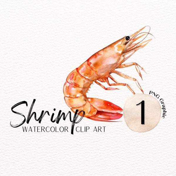 SHRIMP : Single Graphic, Clip Art, Digital Graphics, Graphics Transparent Background, No Background, Clip Art Set, Food Art, Shrimp Image