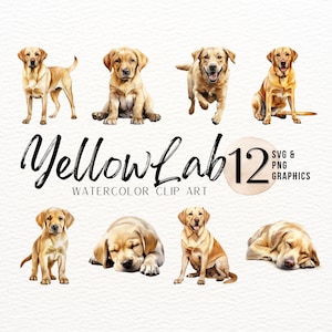 Yellow Lab Watercolor ClipArt | Dog SVG | Puppy PNG | Mans Best Friend Design | Labrador Retriever Sublimation Graphic | Junk Journal PNG