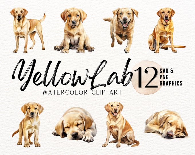 Yellow Lab Watercolor Clipart | Dog SVG | Puppy PNG | Mans Best Friend ...