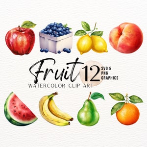 Pacote de clipart de frutas | Comida aquarela | Produzir imagem | Maçã PNG | Mirtilo SVG | Clipart de banana | Gráficos cítricos | Arte de uso comercial