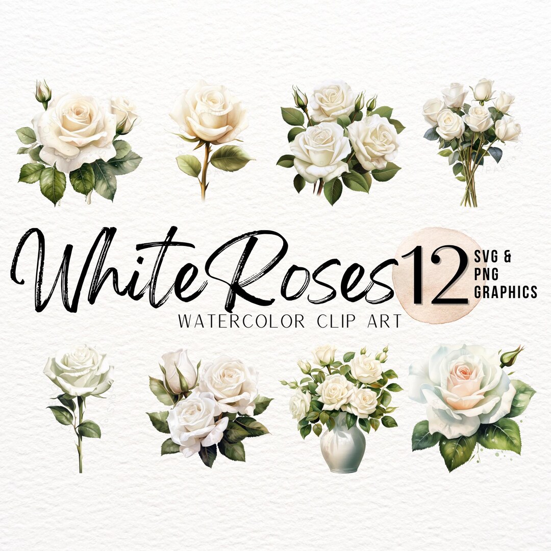 White Roses Watercolor Clipart Bundle | Floral PNG Graphic | Florist ...