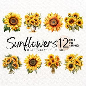 Pacote de clipart de aquarela de girassol | Gráfico PNG floral | Imagem SVG de flores silvestres | Design de Sublimação | Decoração com impressão artística de flores de verão brilhante