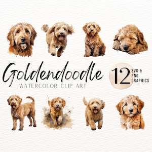 Goldendoodle Aquarell Clip Art | Hund SVG | Welpe PNG | Hund Sublimationsdesign | Tierisches Junk Journal | Sofortdownload | Kommerzielle Nutzung