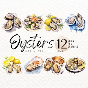 Austern Aquarell ClipArt Bundle | Meerestiere Digitaler Download | Lebensmittel Bilder | Sommer PNG | Austern Sublimations Design | Muschel SVG Logo