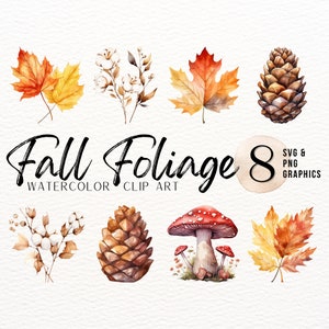 Pacchetto ClipArt acquerello fogliame autunnale / PNG di cotone / Pigna SVG / ClipArt di foglie arancioni / Grafica autunnale / Design sublimazione dei funghi