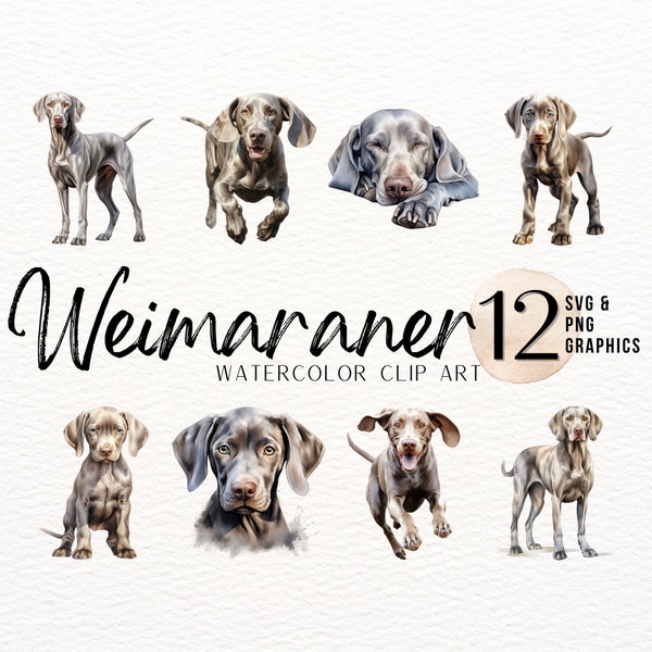 Weimaraner Watercolor Clip Art | Dog SVG | Puppy PNG | Mans Best Friend Sublimation Design | Grey Dog Digital Art Download | Commercial Use