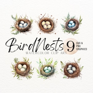 Bird Nest Watercolor ClipArt | Spring Time SVG and PNG Graphics | Baby Birds Images | Robins Eggs Art Print | Spring Season Pastel Designs