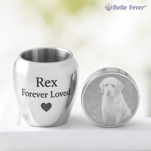 Mini Urna para Mascotas – Joya Personalizada con Cenizas – Recuerdo Grabado para Perros o Gatos