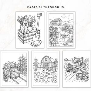 Fall Coloring Book for Adults, Harvest Coloring Pack, Cozy Autumn Coloring Sheets, Rustic Farm Coloring, Homesteading Coloring, Intermediate image 7