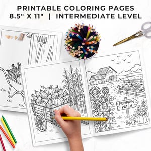 Fall Coloring Book for Adults, Harvest Coloring Pack, Cozy Autumn Coloring Sheets, Rustic Farm Coloring, Homesteading Coloring, Intermediate image 2