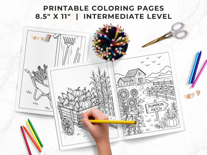 Fall Coloring Book for Adults, Harvest Coloring Pack, Cozy Autumn Coloring Sheets, Rustic Farm Coloring, Homesteading Coloring, Intermediate image 2