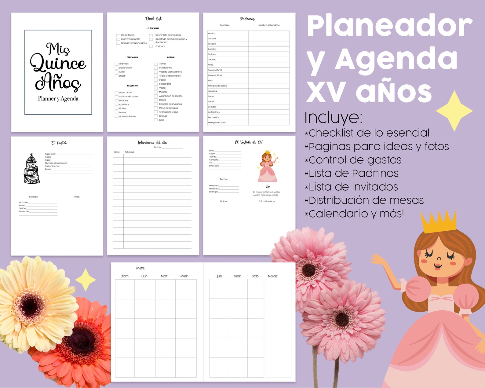 Planeador y agenda XV años - Etsy España