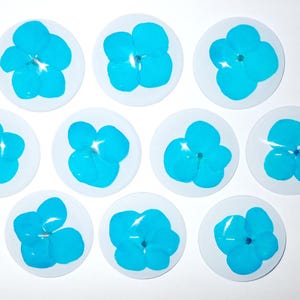 May include: A collection of ten round, white stickers, each featuring a vibrant blue flower design. The flowers have multiple petals and are centered on the stickers. The stickers are arranged against a white background.