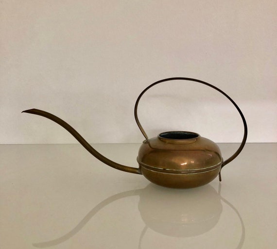 Cacti watering can mid century modern