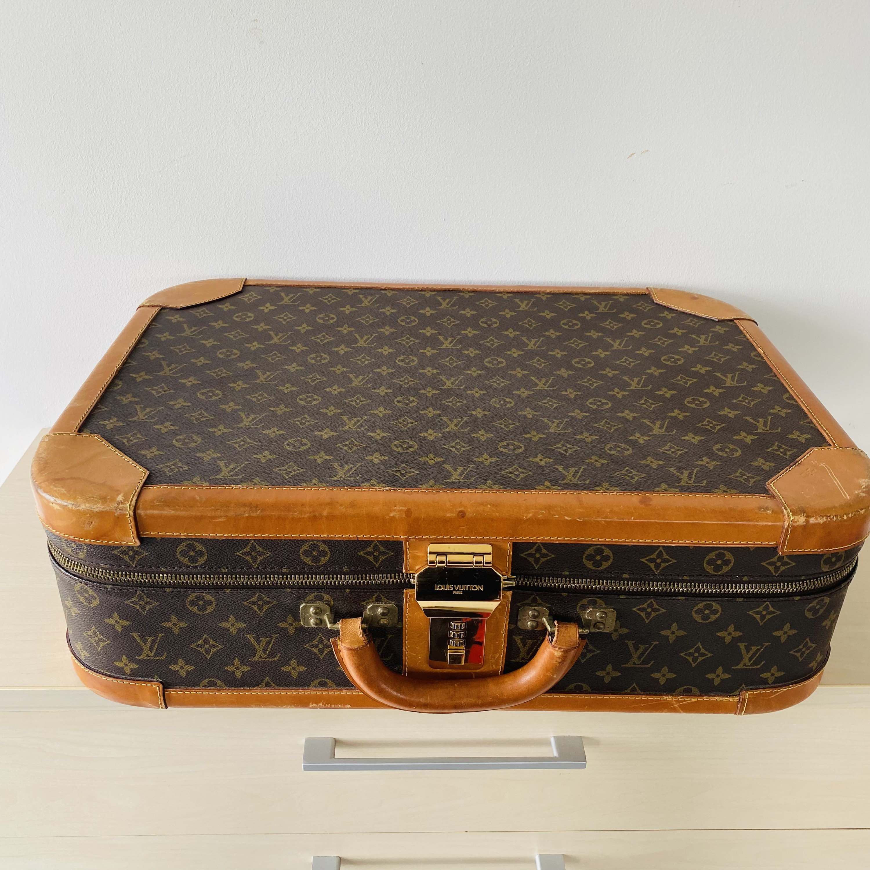 LOUIS VUITTON Monogram Luggage Suitcase Insert Garment Bag