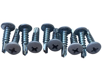Lacrosse Head Screws,  White Self Tapping - 10 Pack