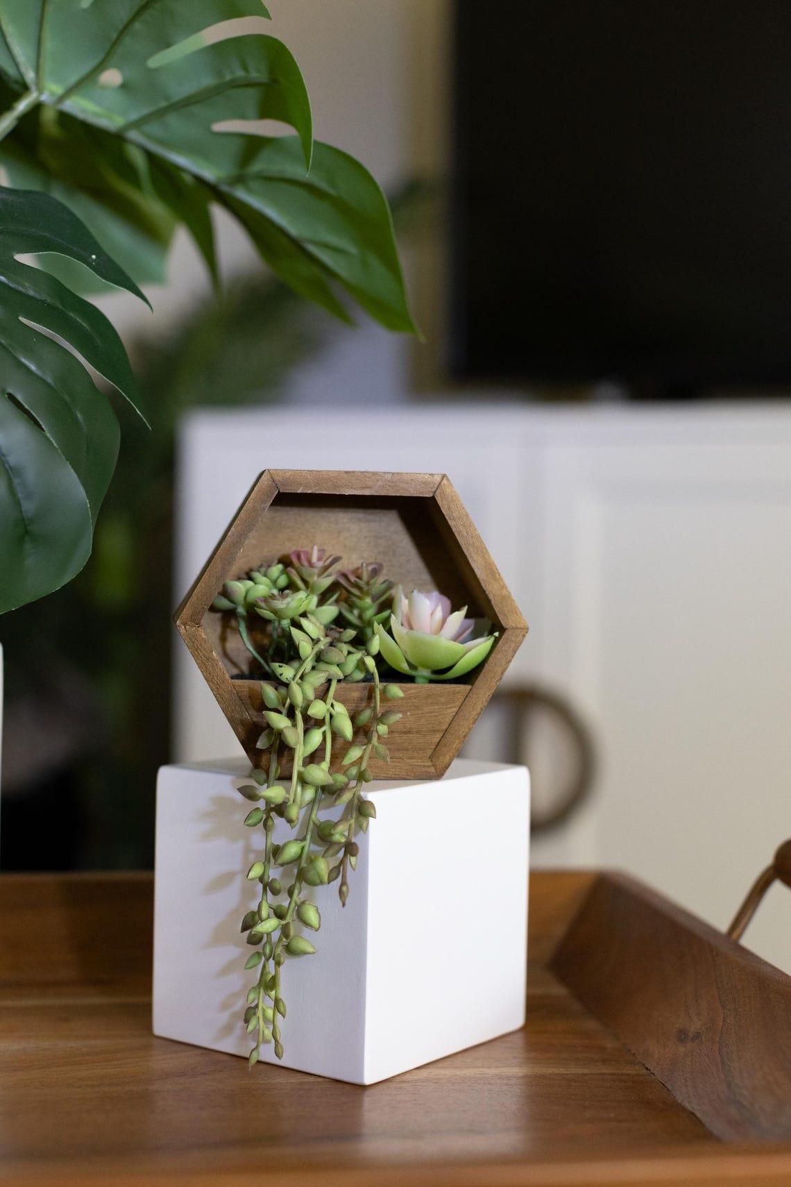 White Wood 3 Inch Square Riser, White Plant Riser, White Wood Block ...