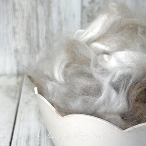 May include: Close-up of a white, petal-shaped container filled with soft, light gray fiber. The fiber has a fluffy texture and appears to be natural. The background is a light, weathered wood.