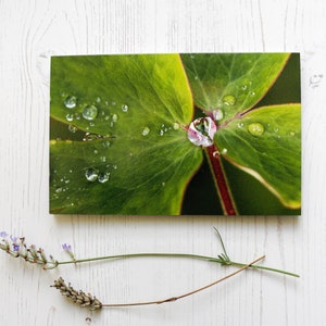 Raindrops Blank Greeting Card, Fine Art Photograph by SarahFrippMorris