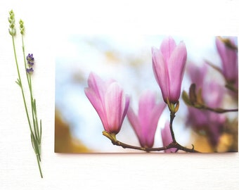 Pink Magnolia Blank Greeting Card, Fine Art Photograph by SarahFrippMorris