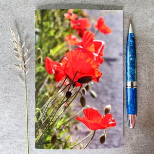 Row of Poppies Blank Greeting Card, Fine Art Photograph by SarahFrippMorris