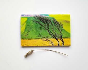 Shorwell Fields, Isle of Wight, Blank Greeting Card, Fine Art Photograph by SarahFrippMorris