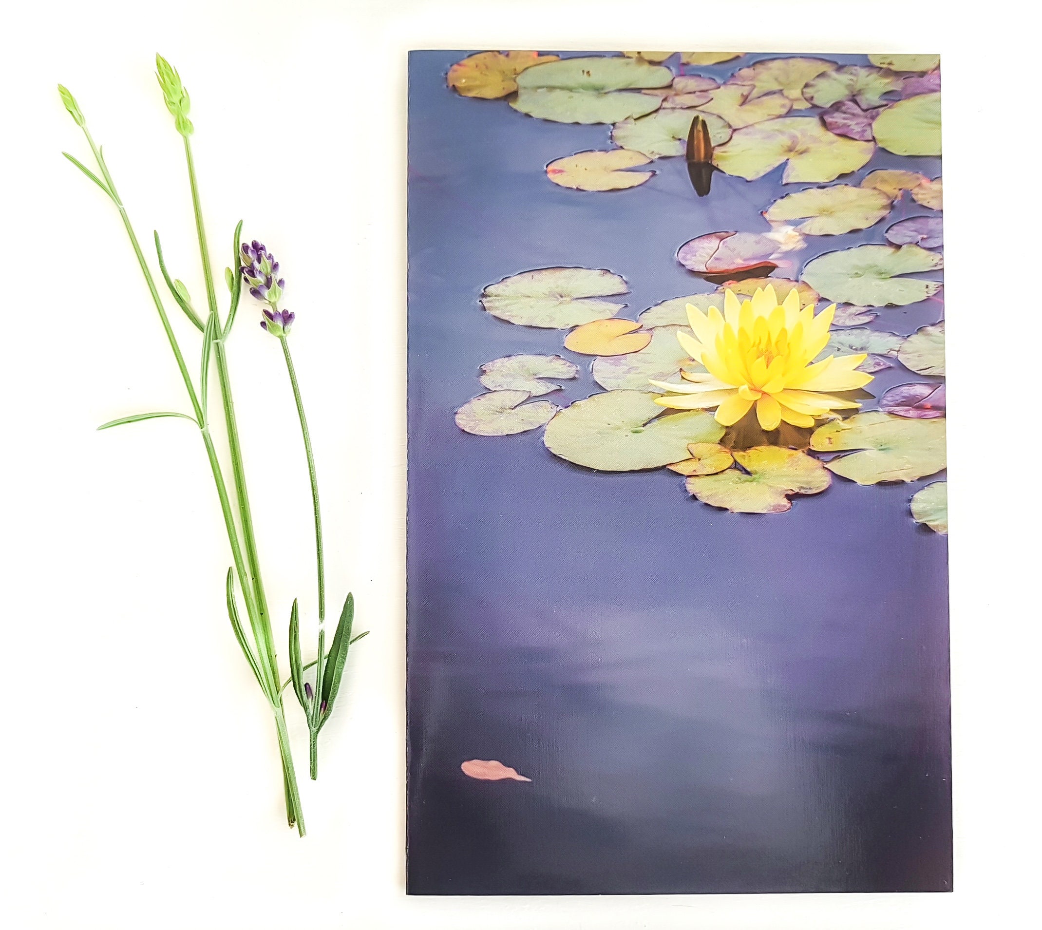 Yellow Water Lily Wisley Greeting Card Fine Art Photo Blank Etsy
