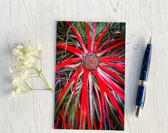 Flower Power, Falmouth, Blank Greeting Card, Fine Art Photograph by SarahFrippMorris