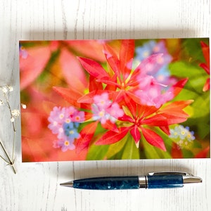 Pieris and Forget-Me-Not Blank Greeting Card, Fine Art Photograph by SarahFrippMorris