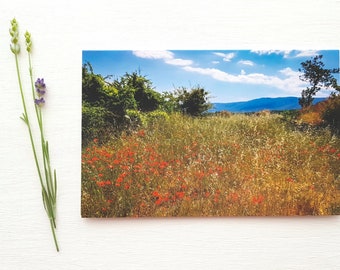 Field of Poppies, Provence, Blank Greeting Card, Fine Art Photograph by SarahFrippMorris