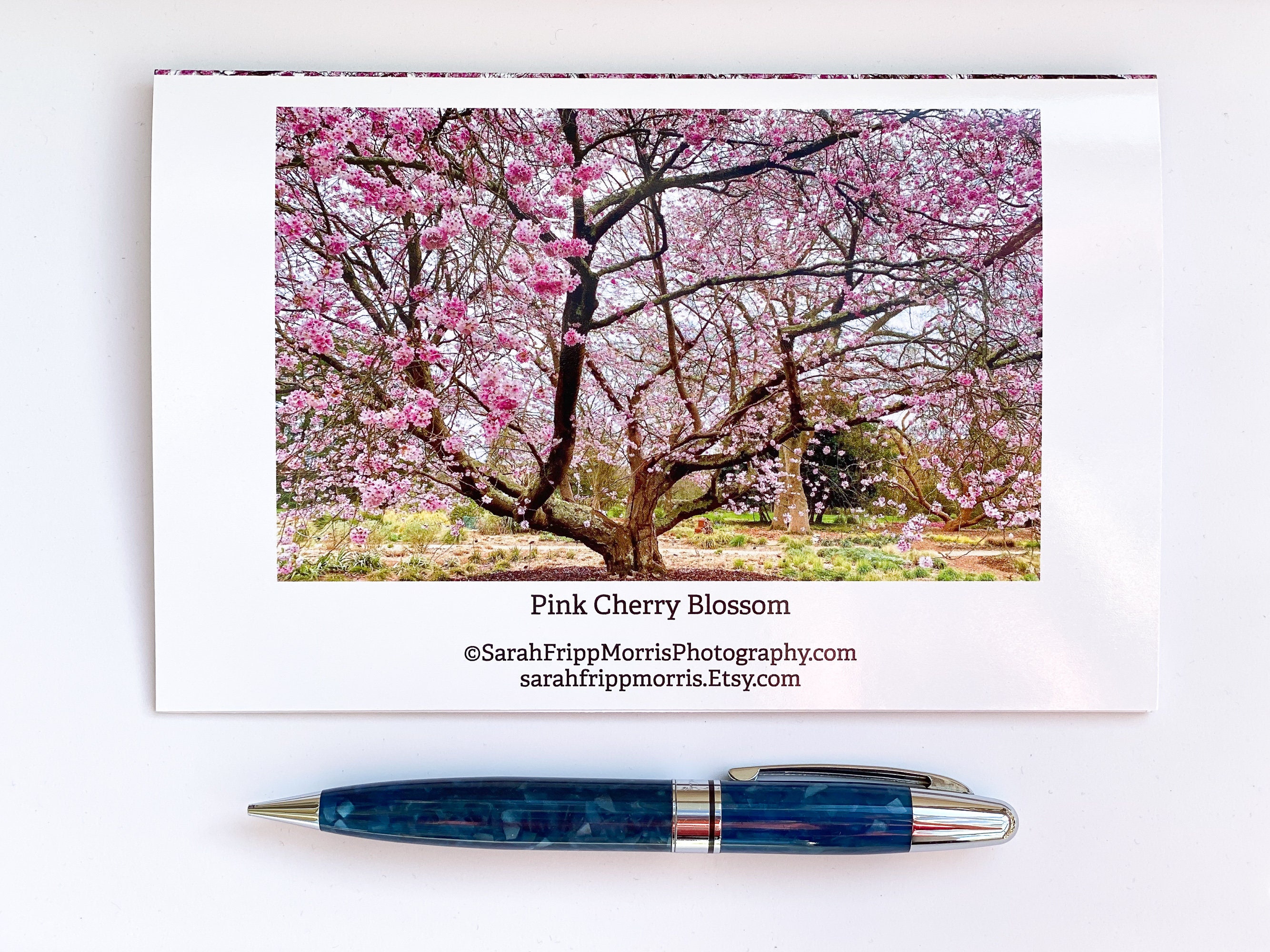 Pink Cherry Blossom Blank Greeting Card Fine Art Photograph - Etsy