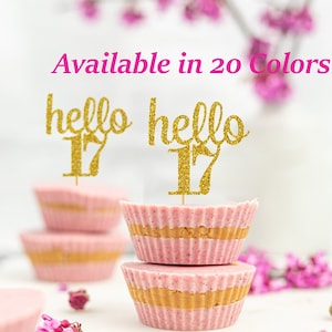 Any Number Hello 17 Cupcake toppers 17th Birthday age Cupcake topper Glitter 17th Birthday Party Decorations 17th Birthday Decorations