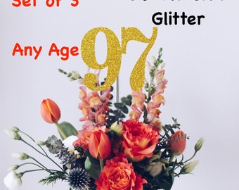 97th Birthday Centerpiece (Set of 3) Single or Double Side Glitter, Number 97 for Birthday Party, Cake Toppers, Anniversary Decorations