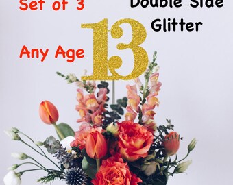 13th Birthday Centerpiece (Set of 3) Single or Double Side Glitter, Number 13 for Birthday Party, Cake Toppers, Anniversary Decorations