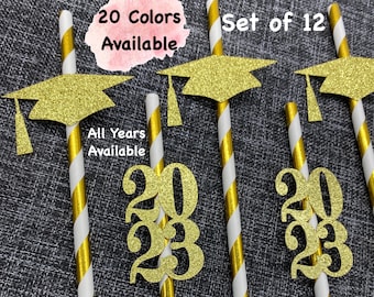 class of 2025  Graduation Party Straws Graduation Decorations (Set of 12) (20 Colors Available) Class Reunion  graduation decorations 2023