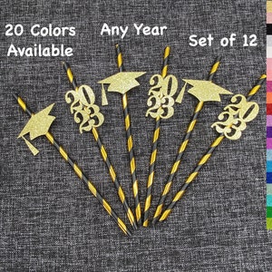 Class of 2024 Graduation Party Straws Graduation Decoration Set of 1220 Colors Available Class Reunion graduation decorations 2024 image 3