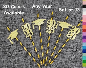 Graduation Decorations class of 2025  Graduation Party Straws  (Set of 12) (20 Colors Available) Class Reunion graduation decorations 2024