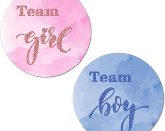 Team Girl Team Boy Gender Reveal Stickers  (SET OF 40) (Pink and Blue)