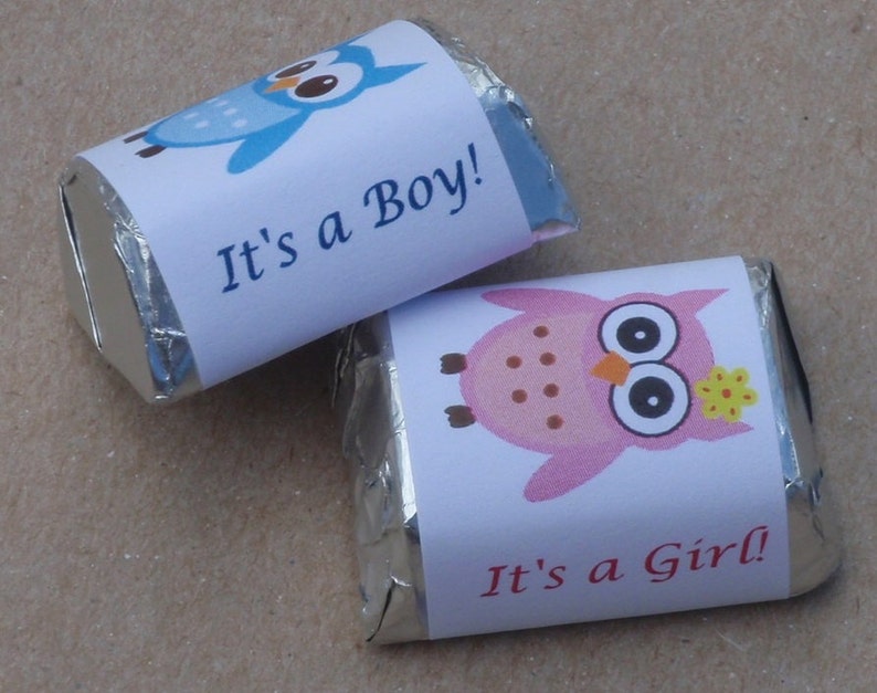 30 baby owl theme baby shower favors labels / wrappers for nugget candy pink or blue candy not included image 1