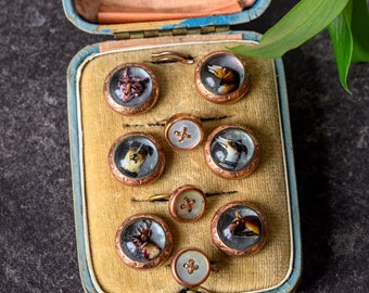 Unusual Set of 6 Antique English Gold Molded Glass Essex Crystal Studs Buttons