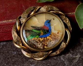 May include: An oval brooch featuring a central inlay of a blue, green, and red bird perched on a textured base. The bird image is surrounded by a gold-toned metal frame with an intricate, twisted, and engraved floral pattern along the border.
