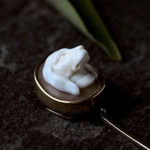 Op de afbeelding: Een vintage goudkleurige speld met een gesneden cameo van een hondenhoofd. De hond is wit, tegen een bruine achtergrond in een gouden frame. De speld heeft een lange, slanke gouden naald.