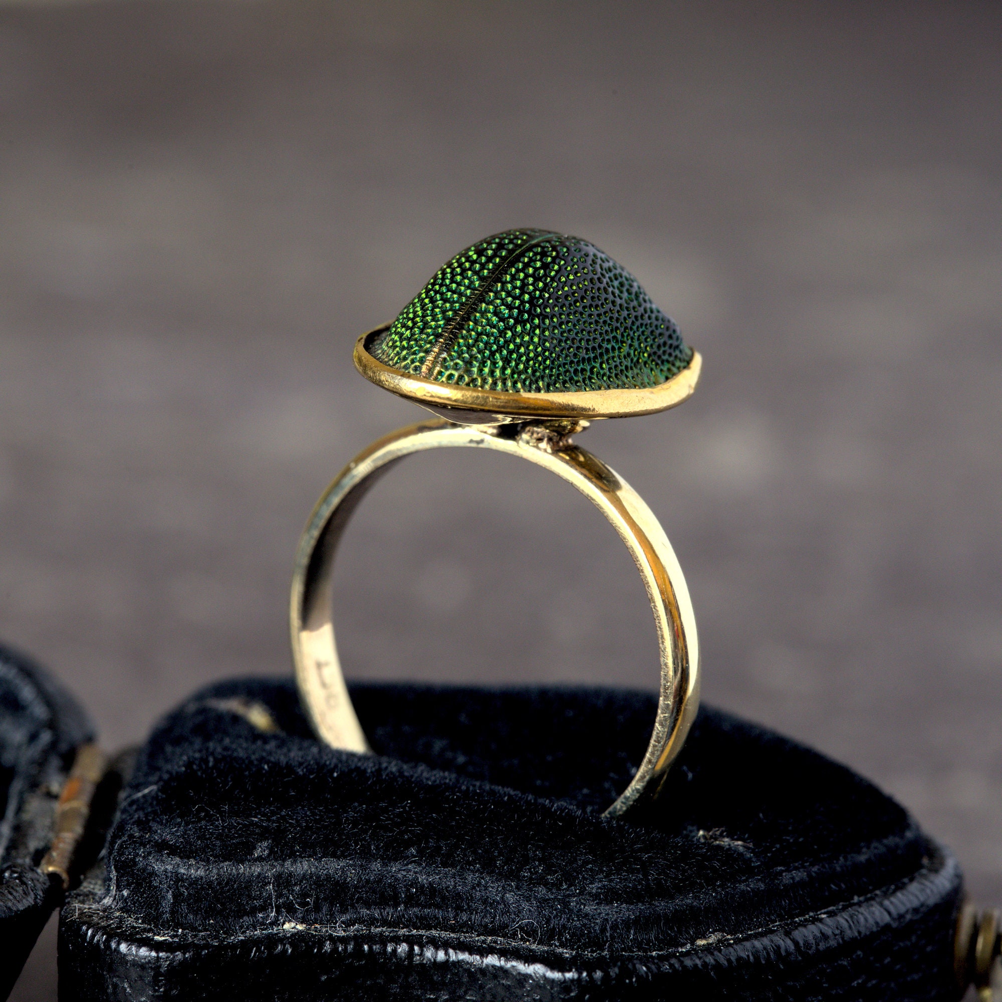 Tribute Scarab Beetle Luck Ring - 18K gold plated | Garmentory