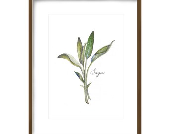 Sage Botanical Print, Sage Art Print, Herb Art, Herb Print, Kitchen Art ...