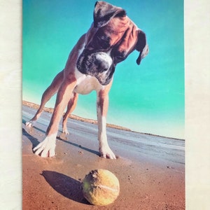 Boxer mit Ball am Strand Grußkarte
