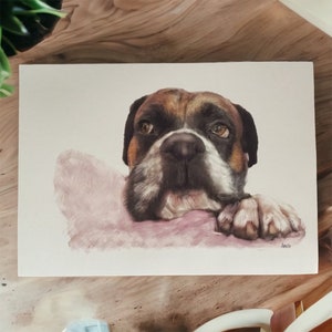 Boxer Chill A4 print