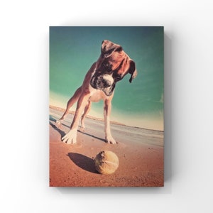 Beach Boxer Dog A4 Print unframed