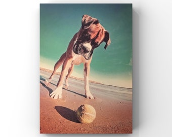 Beach Boxer Dog A4 Print unframed