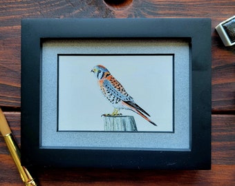 Mini American Kestrel Falcon Watercolor Painting, Original Watercolor Painting