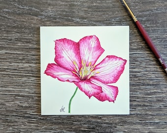 Pink Clematis Watercolor Painting, Mini Floral Painting, Small Flower Art